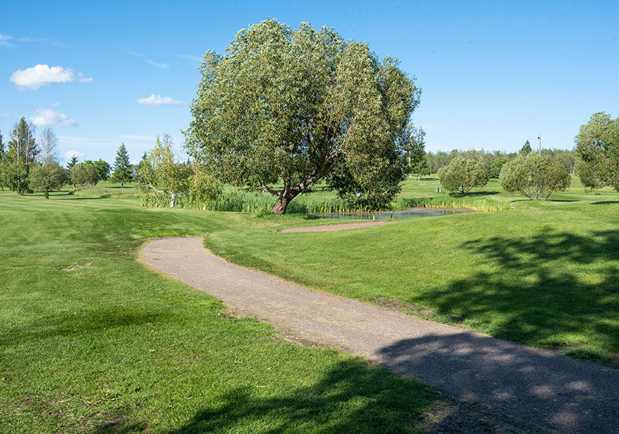 Bonnyville Golf and Country Club